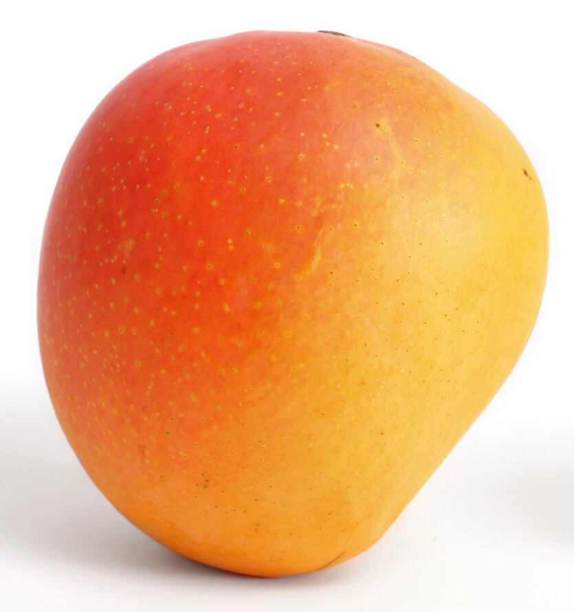 Mango (Kensington Pride)