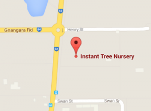 instant-tree-nursery-location-perth